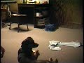 This is one of the two previous dogs I had between 1992 and 2007. She's a German Shepherd/Beagle mix. She's probably about 9 to 10 months old in this video. Enjoy