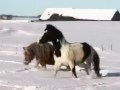 Cobretti Weihnachts Commercial