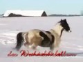 Cobretti Weihnachts Commercial
