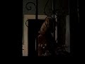 Trick or Treat Voyuer