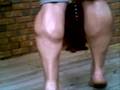 Marcs calves
