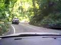 Jamaica - Fern Gully