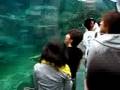 ASAHIYAMA zoo 旭山動物