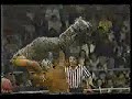 el poder de canek el poder de canek