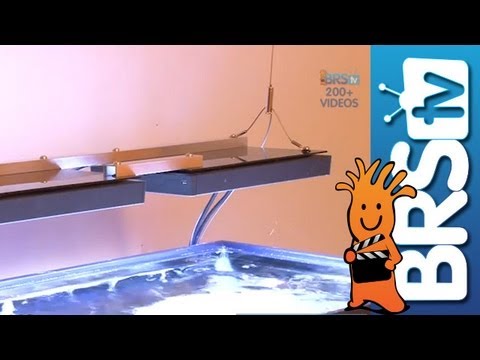 Bulk Reef Supply Upgrades Their Office Aquarium Bulk Reef Supply Upgrades Their Office Aquarium