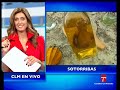 Destilación de Esenc