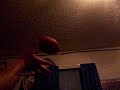 dog playin football