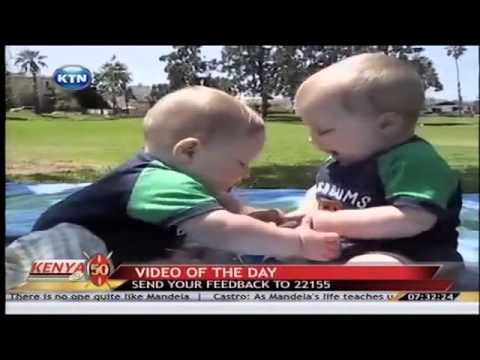 Twin babies fight over a water bottle Twin babies fight over a water bottle