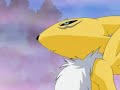 Renamon Pictures AMV 3