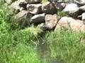 AGUAS DEL BATAN 2_2