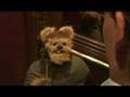 Ewok in an Elevator