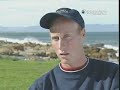 Shark Attack: Seal\