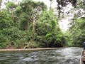 Tahan River at Taman Negara