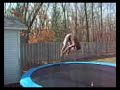 gymnastics