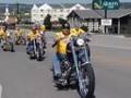 Custom Motorcycles - Hamsters, USA - Sturgis 2008