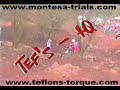 Earl Shilton Trials 2002 Clips 1 Earl Shilton Trials 2002 Clips 1