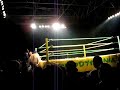 Bloodymania 2 highlights