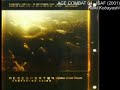 ACE COMBAT 04 MUSIC: ISAF (2001)