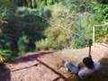 3Sixty Go Ape!