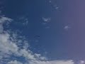 Spree - Helicoptero Spree - Helicoptero