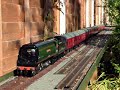 Aster Bulleid on the Pines