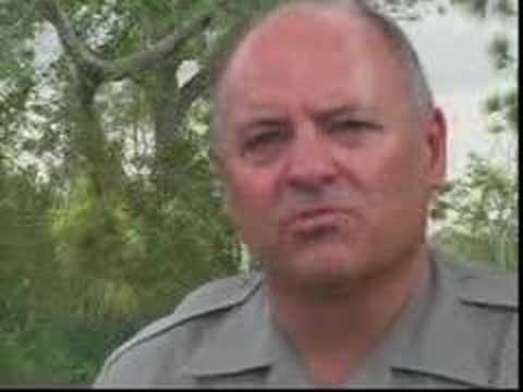 Treasured Places: The Everglades and ...