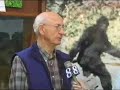 Bigfoot Museum in Willow Creek