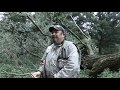 Guarda video
