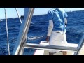 Puerto Vallarta Fishing for Dorado