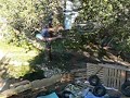 intento backflip 360 intento backflip 360