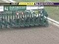 FAIR GROUNDS, 2009-12-04, Race 8