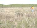videos de C'est Si Bon and Suan Hunting at Birds Landing Apr 08