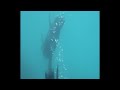 Seal Swim Kaikoura