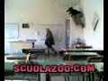 dsfsdf dsfsdf