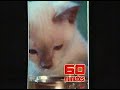 Closing Credits 60 Minutes + Toyota Promo - 1986