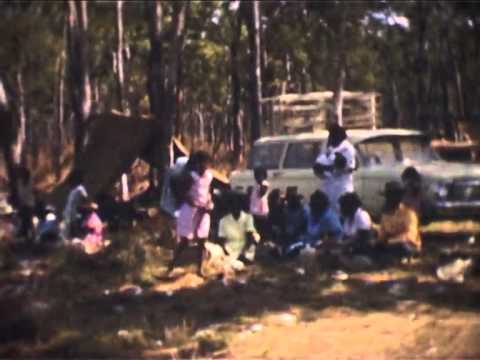 cars australia