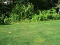 View Of The Side Yard At Cockscombe Lake video