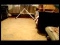 Ataque gatuno