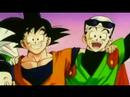Dragon Ball Z-It's a fight