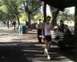 2008 Australian 20km Summer Walk Champs: 23.02.2008