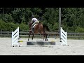 Click here to watch this video Pi Overcomes