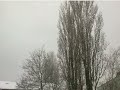 Dezember 17, 2010 Der Schnee In Bonn