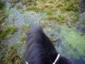 videos de P1070743