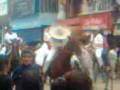 desfile del 20 noviembre isla veracruz