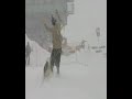 IR 17 Schneebrett Abt.