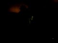 terel-show-song.html