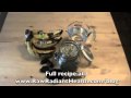 Omega 3 Raw Vegan Blueberry Milkshake Recipe, Ep135