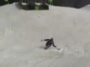 The Staircase Jump