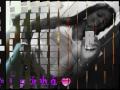 Laercio Fox & Yollyzinhá Cunhaa ♥