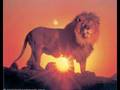 big cats